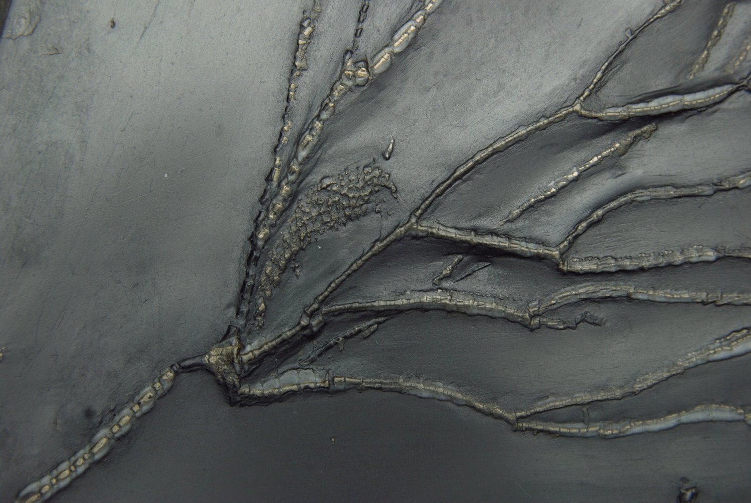 Follicrinus grabei_Bundenbach_zoom