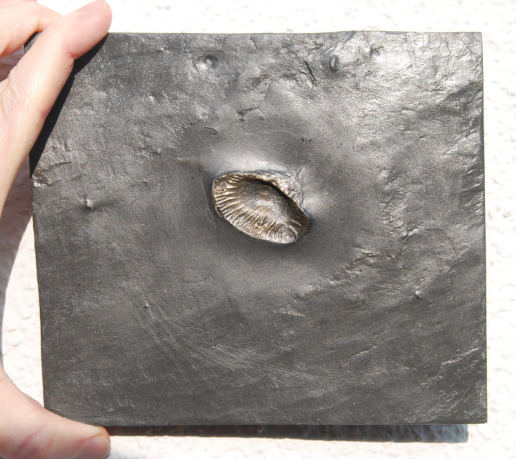 Zaphrentis_Bundenbach