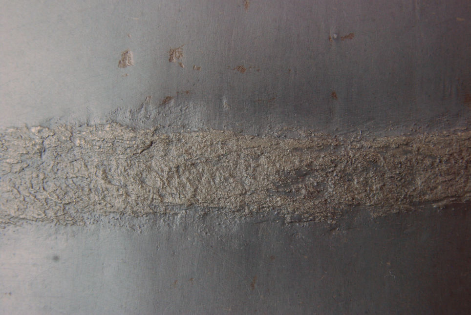 Retifungus_Bundenbach_zoom