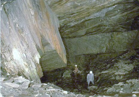 Bundenbach_Fossil_Info