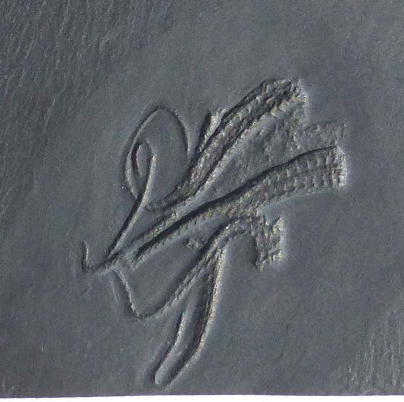 Bundenbachia beneckei_Bundenbach_zoom